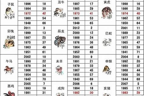 1971年屬什麼生肖|1971年出生属什么生肖 1971年属猪是什么命